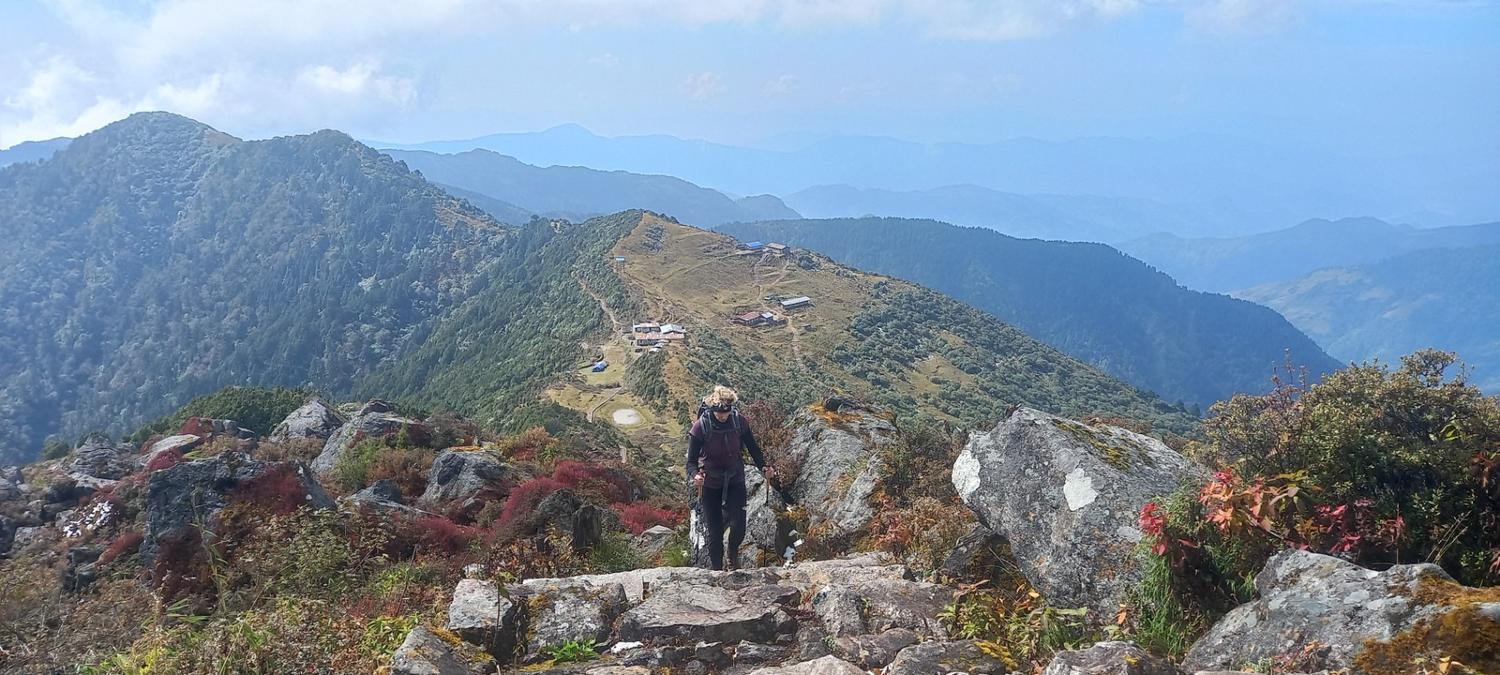 banner-image