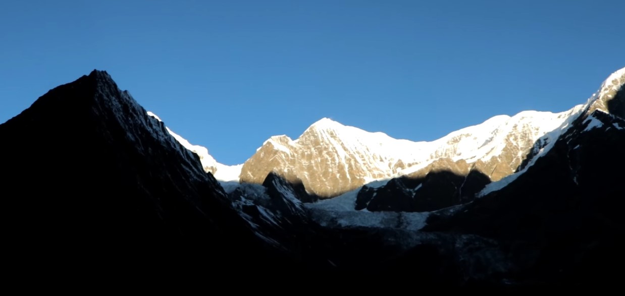 banner-image