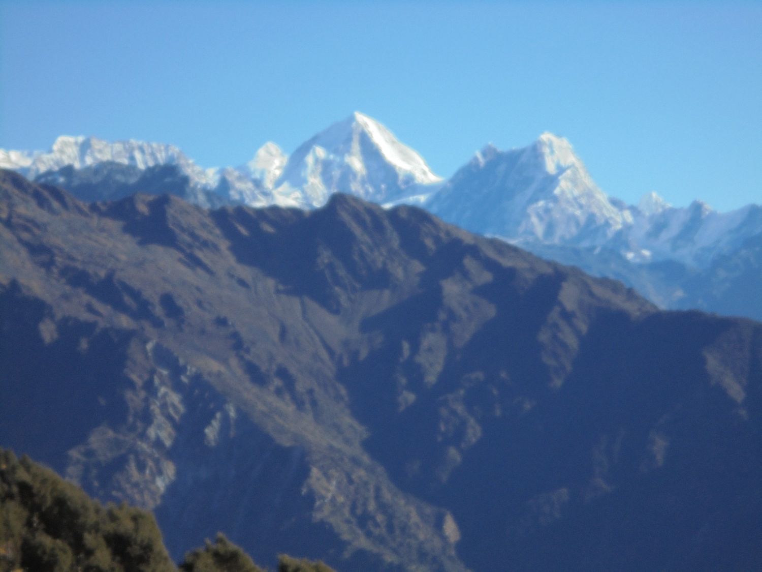 banner-image